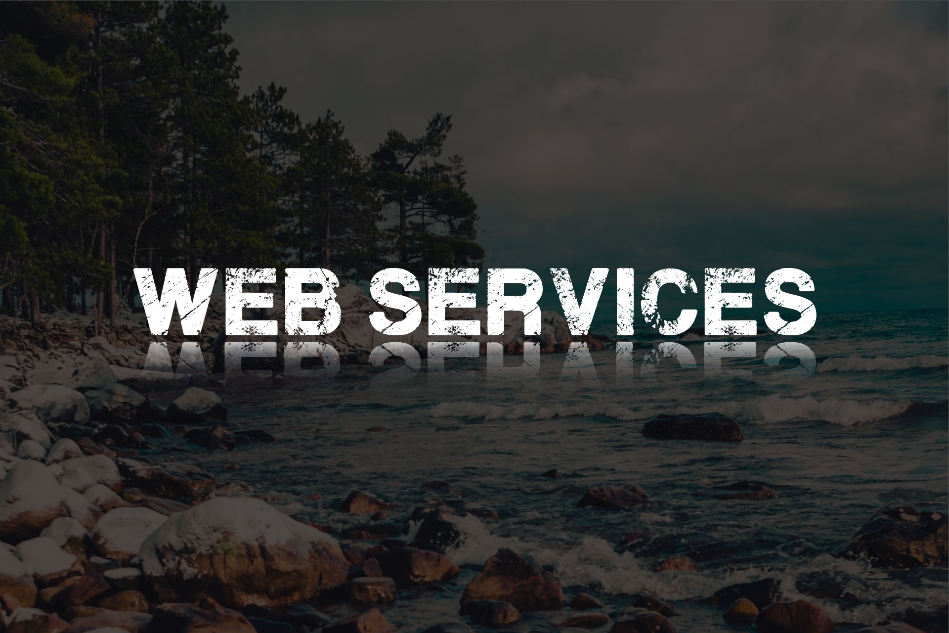 web-services"