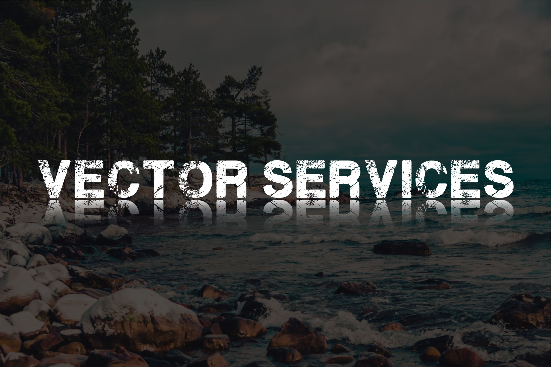 vector_services"